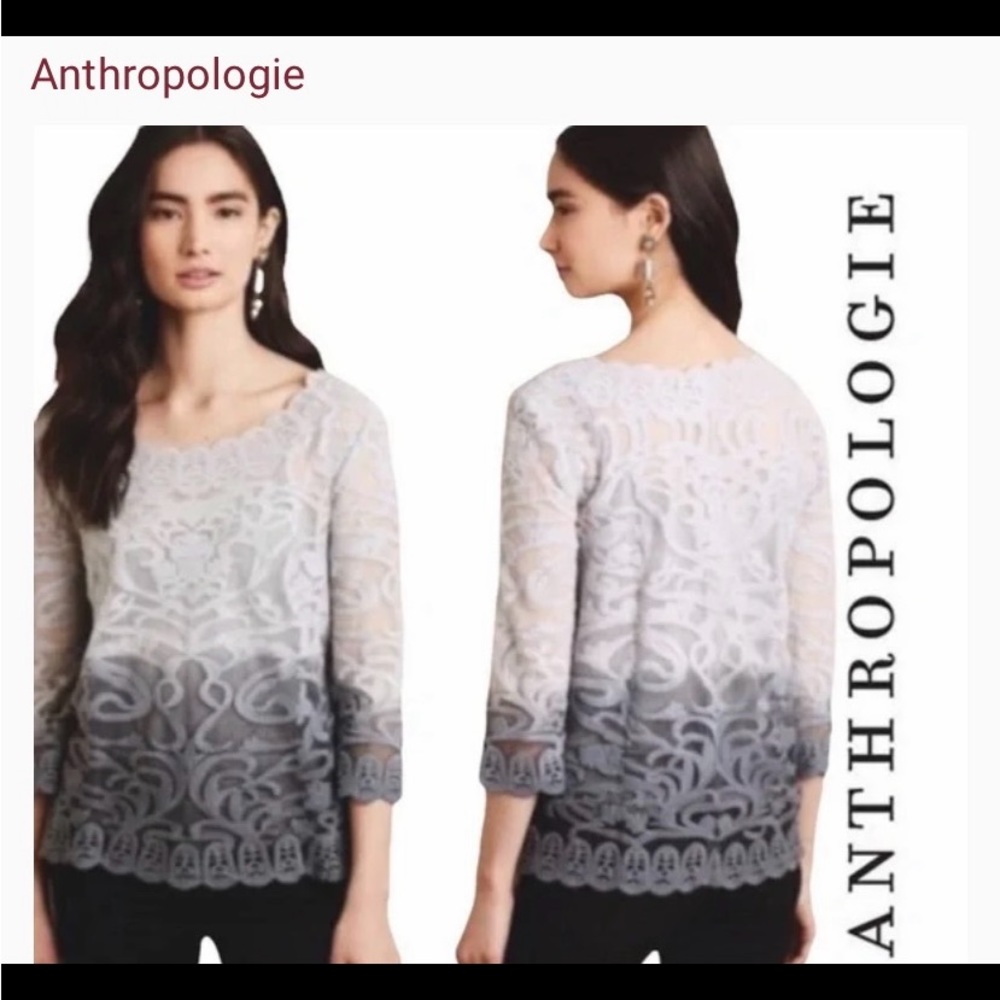 Meadow Rue Ombré 3/4 Sleeve Scoop Neck Lace Top in Size Large